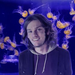 alexmoore alexmoore