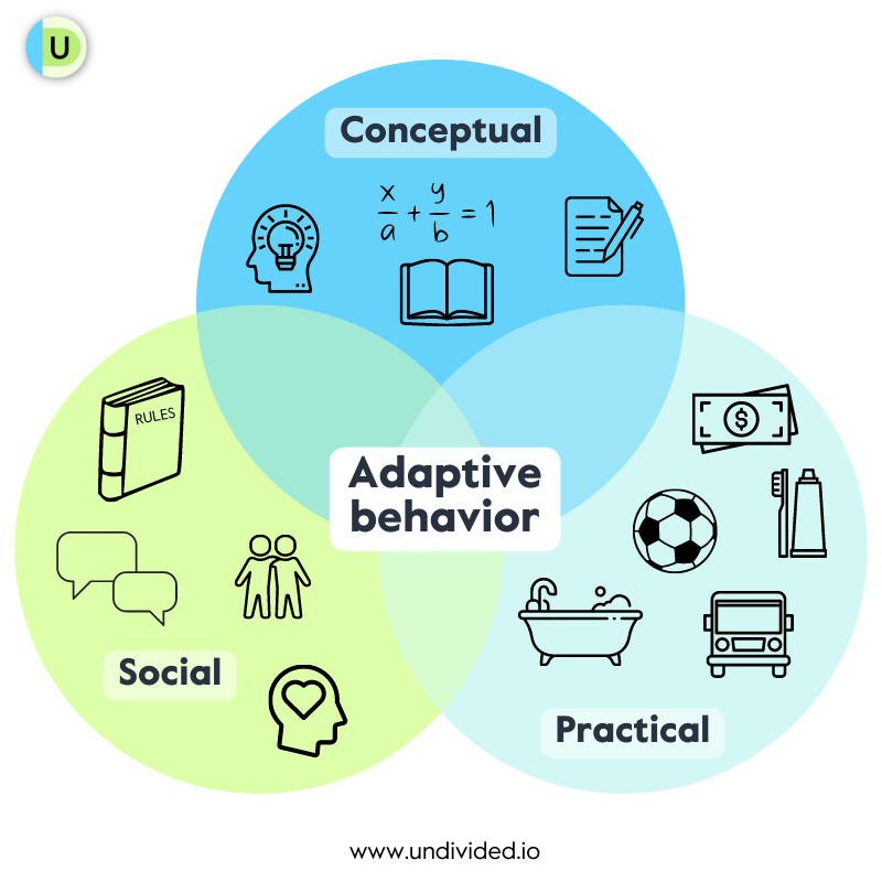 Adaptive behavior skills including conceptual, social, and practical