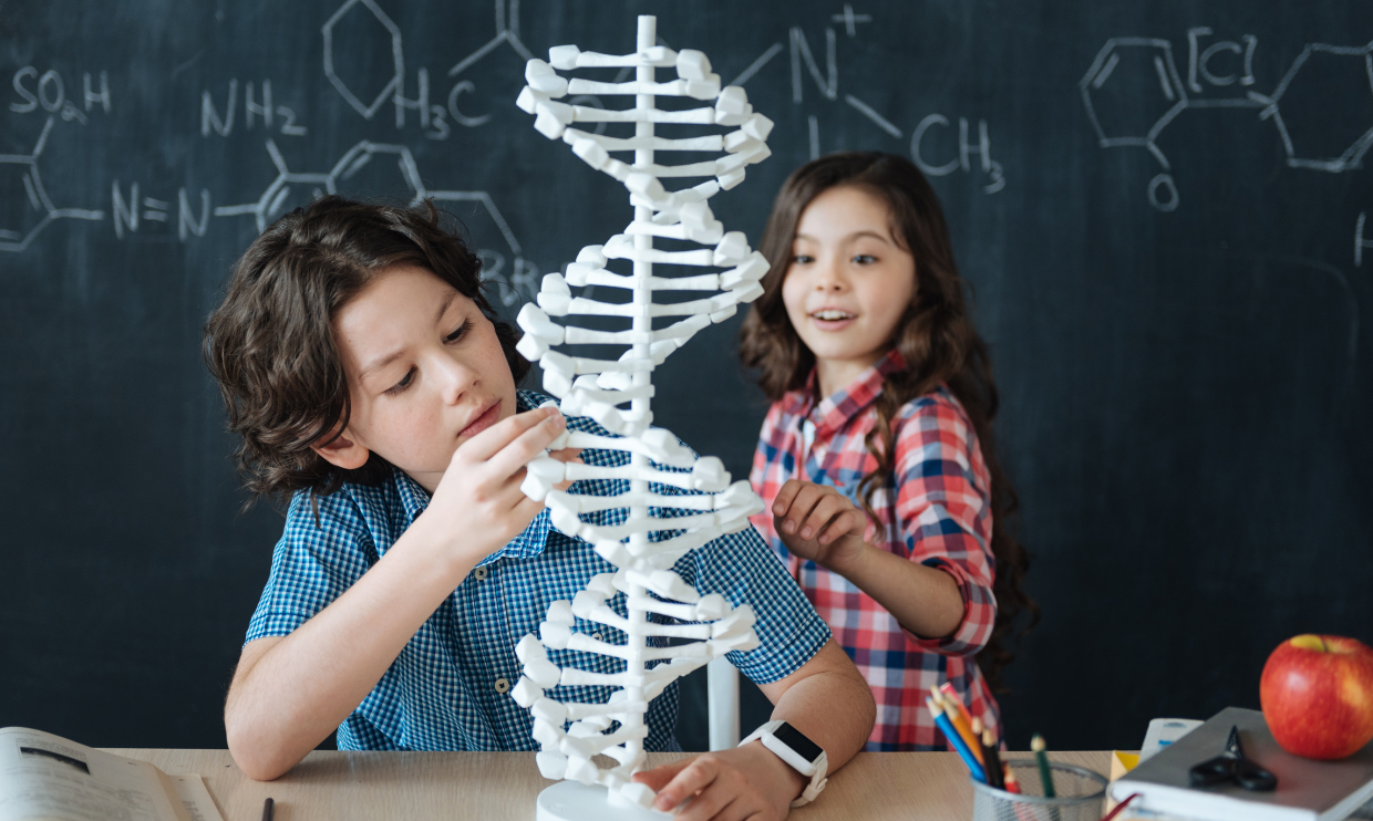 Children looking at genetic model